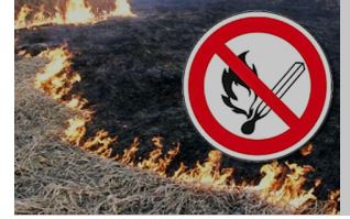  Выжигание сухой растительности запрещено!